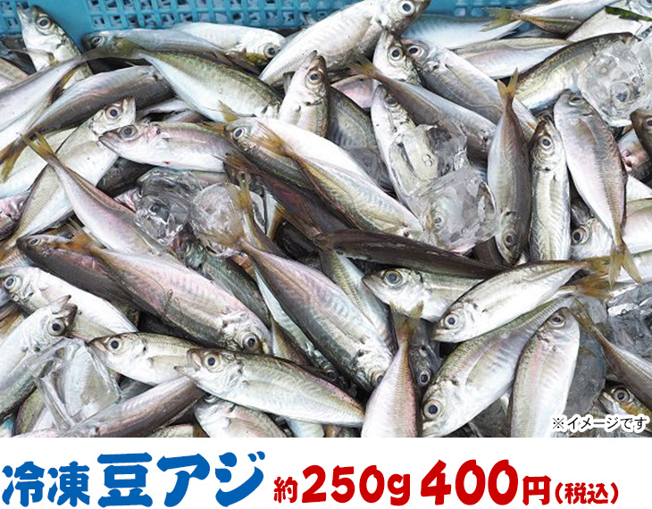 「豆アジ」約250g 400円（税込）お得なネット販売