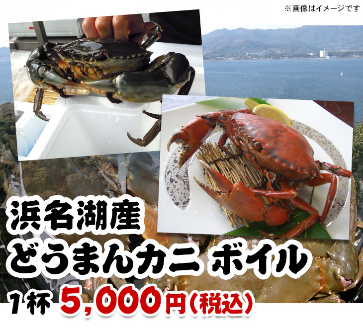「浜名湖産どうまんカニ」ボイル お得なネット販売
