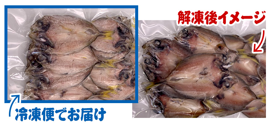 冷凍でお届け 浜名湖産小アジの開き 冷凍のイメージ 解凍後のイメージ