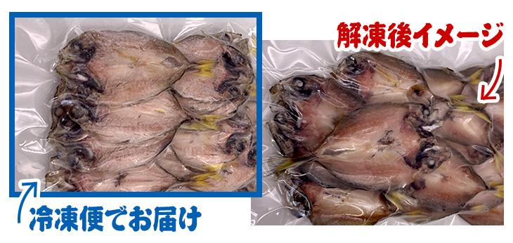 冷凍でお届け 浜名湖産小アジの開き 冷凍のイメージ 解凍後のイメージ