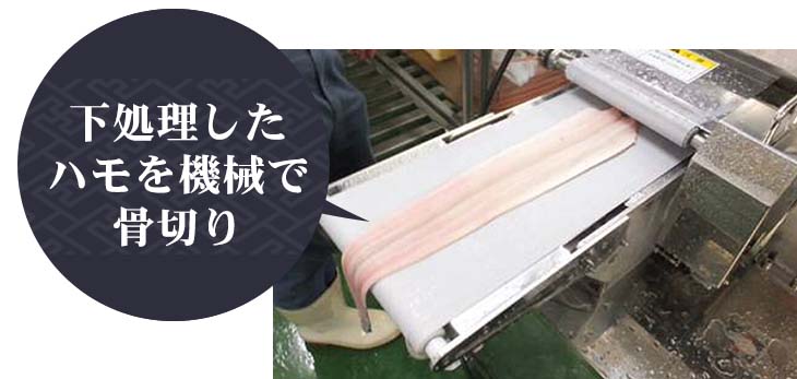 下処理したハモを機械で骨切