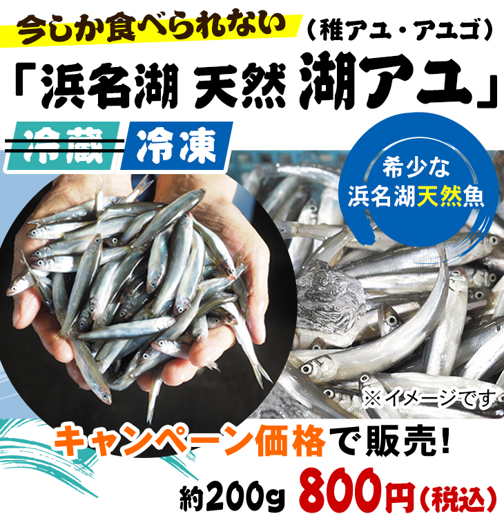 今しか食べられない冷凍「浜名湖 天然湖アユ（稚アユ・アユゴ）」希少な浜名湖天然魚 キャンペーン価格で販売！ 冷凍（プロトン凍結）約200g 800円（税込）