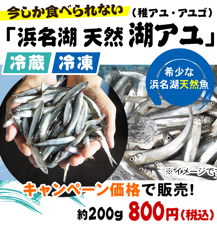 今しか食べられない冷凍「浜名湖 天然湖アユ（稚アユ・アユゴ）」希少な浜名湖天然魚 キャンペーン価格で販売！ 冷凍（プロトン凍結）約200g 800円（税込）