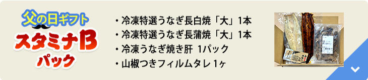 父の日ギフトスタミナBパック