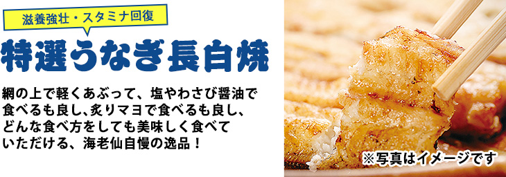 父の日ギフト 特選うなぎ長白焼