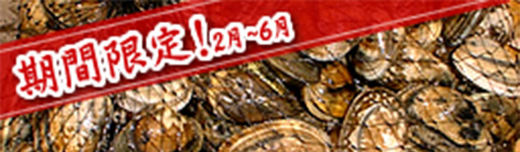 浜名湖産 活あさり