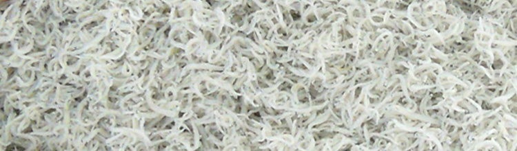 遠州灘産しらすぼし