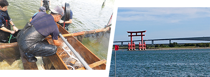 冷蔵浜名湖産新仔うなぎ白焼