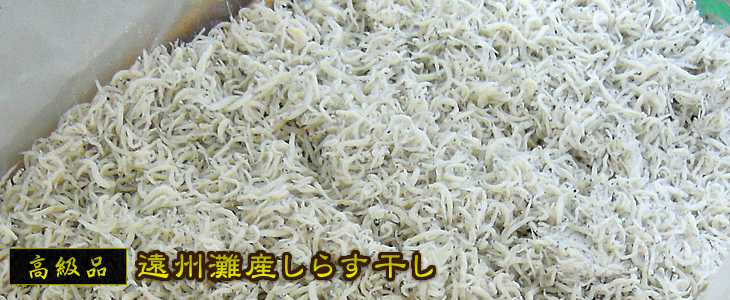 高級品 遠州灘産しらす干し