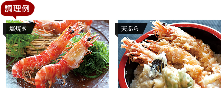 調理例 塩焼き 天ぷら