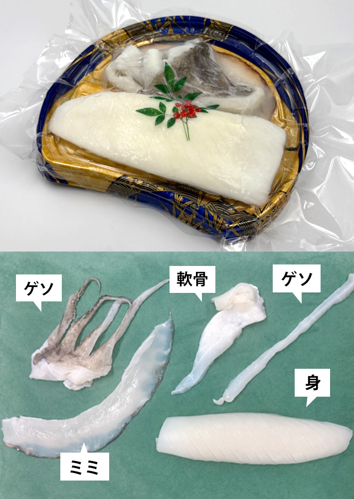 紋甲イカ