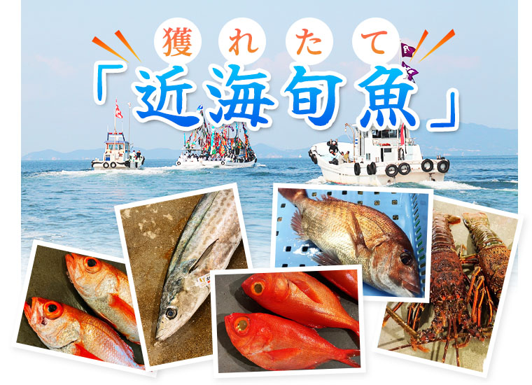 獲れたて「近海旬魚」