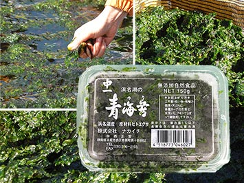 冷凍浜名湖産青海苔