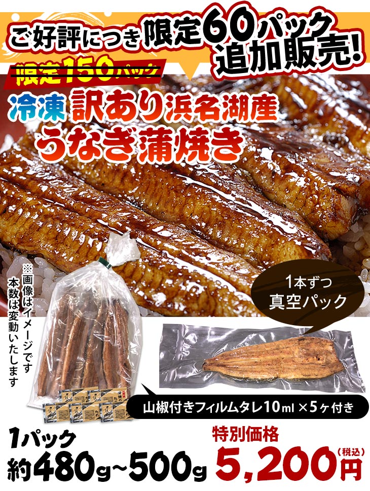 ご好評につき限定60パック追加販売 冷凍 浜名湖産うなぎ蒲焼き1Pセット