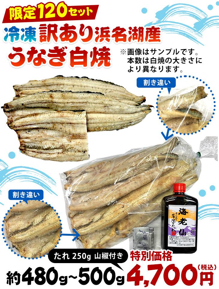 ご感謝セール｜うなぎ白焼・蒲焼の販売（浜松・静岡）
