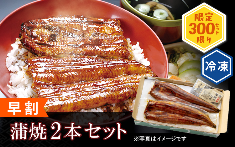【早割】冷凍 国産うなぎ蒲焼2本セット