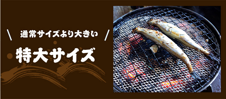 冷凍 子持ちししゃも