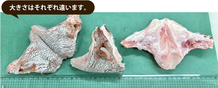 冷凍 養殖タイのカマ5ヶ入